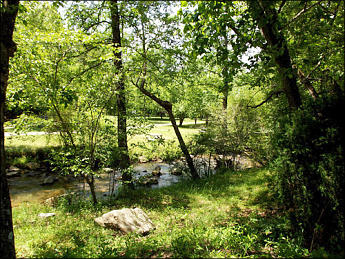 Looking into camping area over Moravian Creek